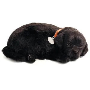 Black Lab Soft Bundle